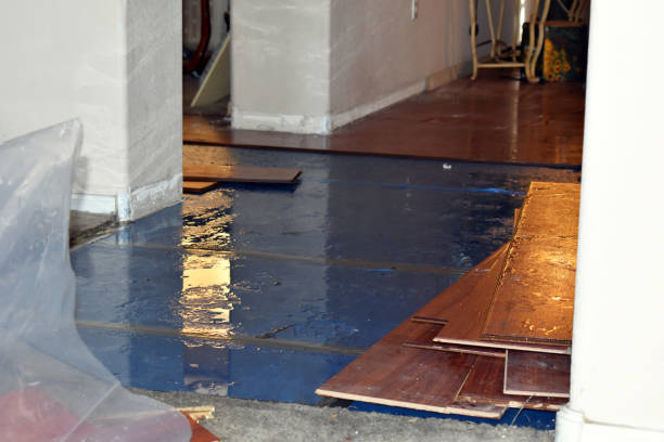 Professional Water Damage Restoration technician working in Onyx, CA